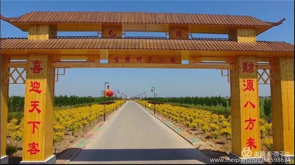 藁城区屯头村利用"三个统筹",全面开启乡村"美颜"模式-藁城区-石家庄